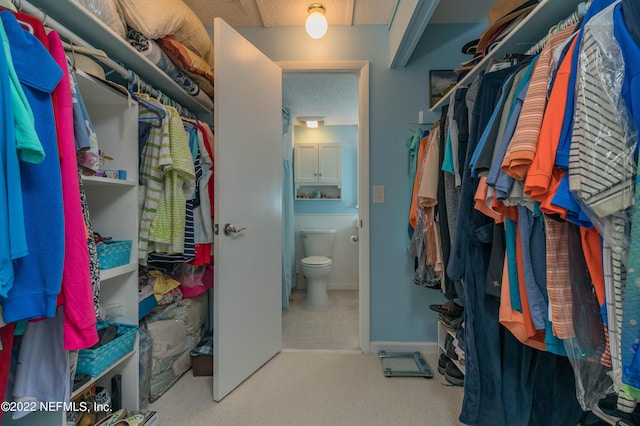 view of spacious closet