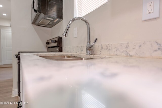 details with light stone counters and wood-type flooring