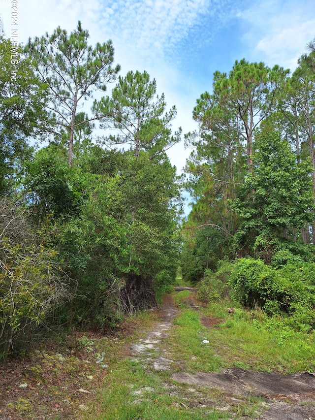 0 E St Johns St, Palatka FL, 32177 land for sale