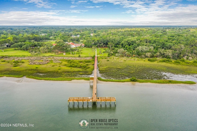 birds eye view of property with a forest view and a water view