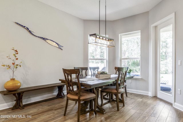 dining room featuring wood-type flooring