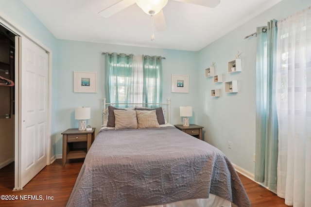 bedroom with dark wood-type flooring, ceiling fan, and a closet