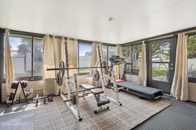 workout area with carpet