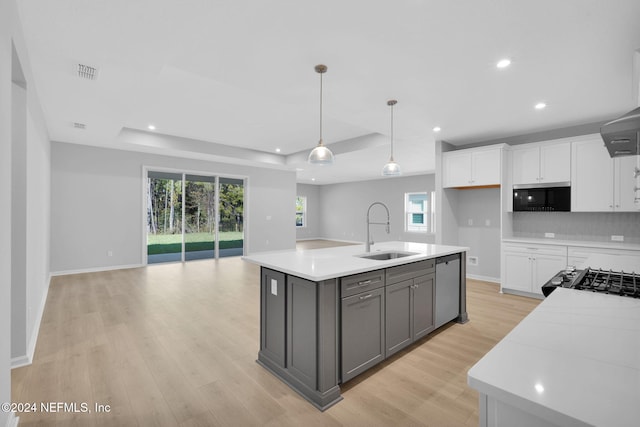 kitchen with sink, a tray ceiling, stainless steel dishwasher, and white cabinets