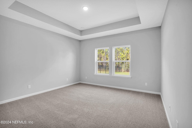 carpeted spare room with a raised ceiling