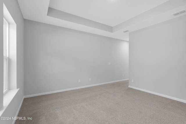 empty room featuring a tray ceiling and carpet floors