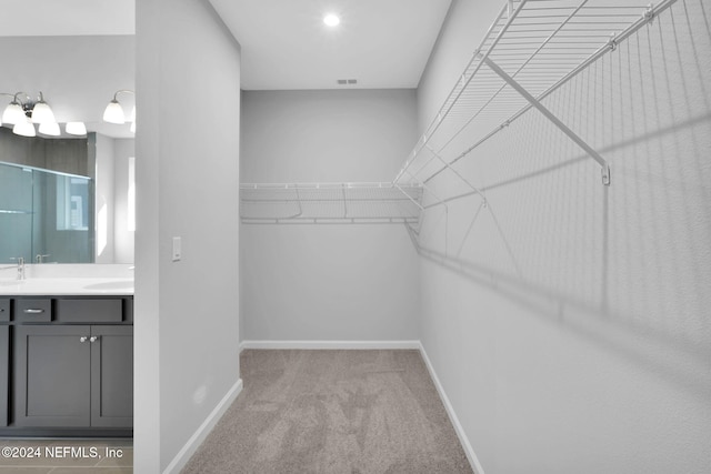 spacious closet featuring light carpet