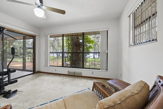 living area featuring carpet, ceiling fan, and a textured ceiling