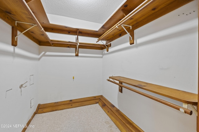 spacious closet with carpet floors