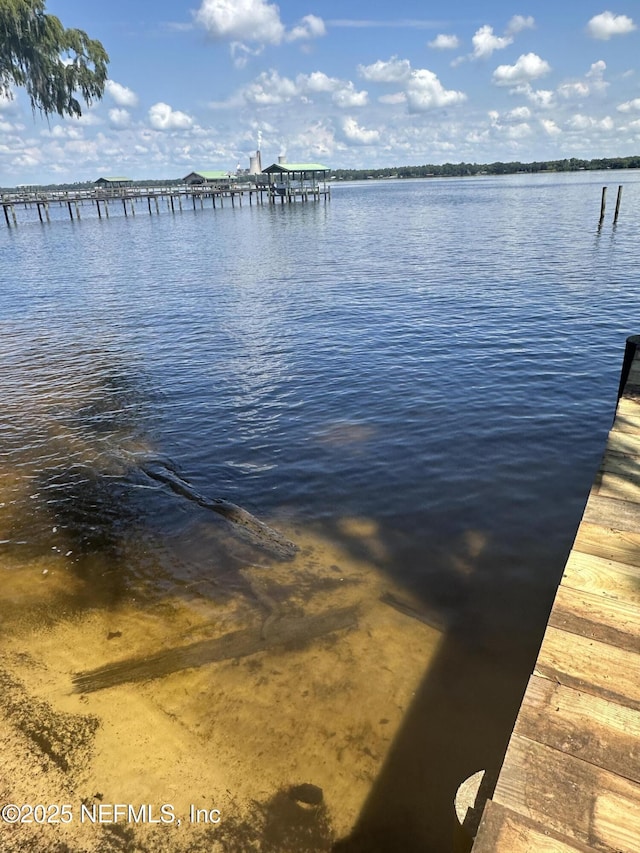 dock area featuring a water view