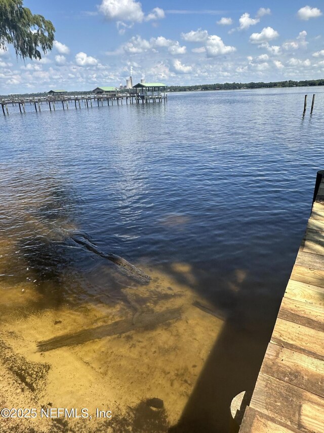 119 Rivers Edge Dr, East Palatka, FL 32131 - photo 10