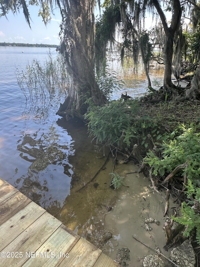 view of dock with a water view