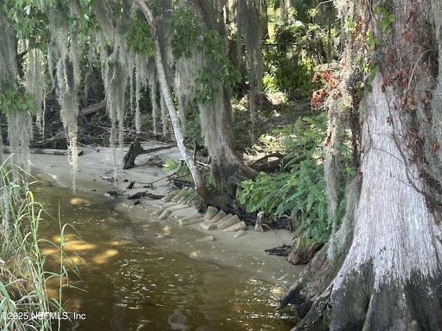 view of local wilderness