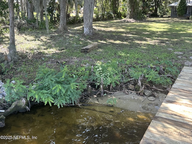 119 Rivers Edge Dr, East Palatka, FL 32131 - photo 58