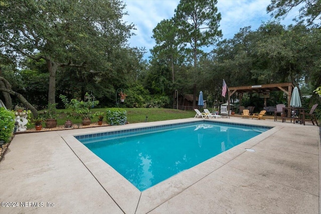 view of pool featuring a patio and a lawn