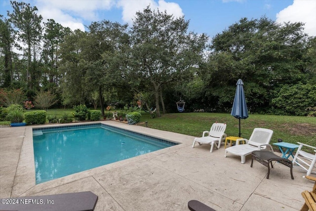 view of swimming pool featuring a yard and a patio area