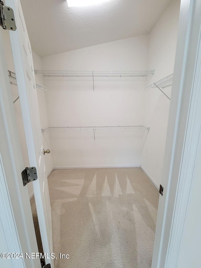 walk in closet with carpet floors