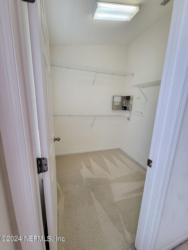 walk in closet featuring carpet flooring