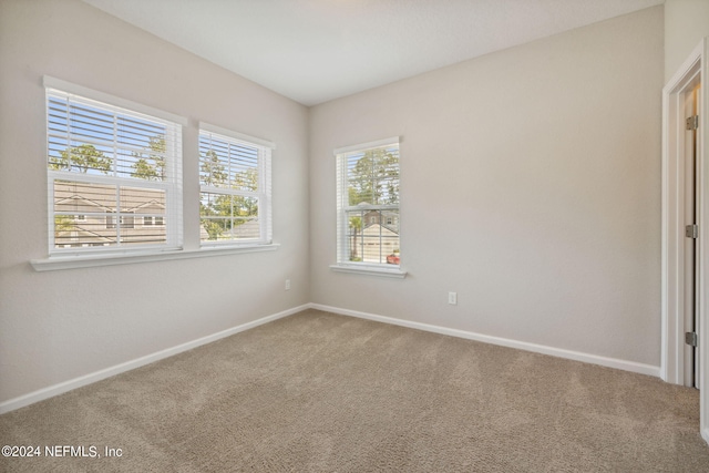 unfurnished room featuring carpet