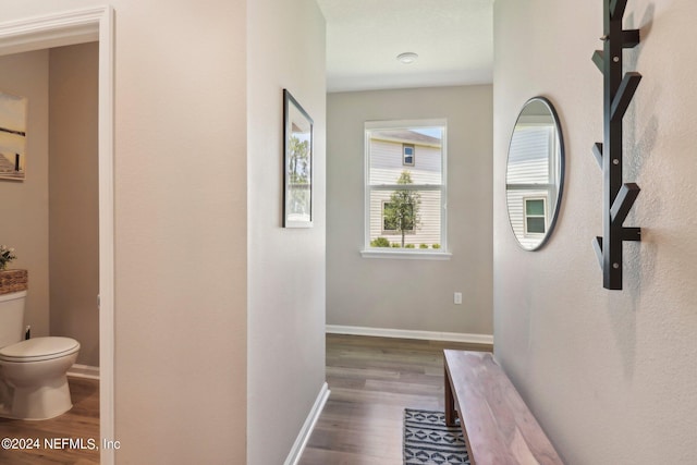 hall featuring hardwood / wood-style flooring