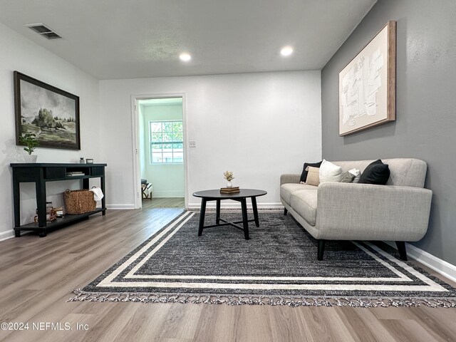 living room featuring hardwood / wood-style floors