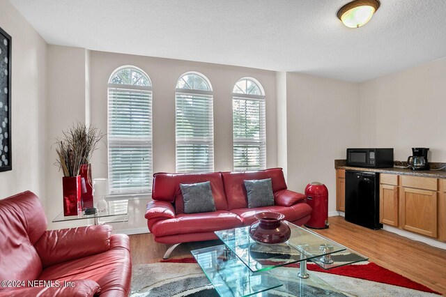 living room with light hardwood / wood-style floors