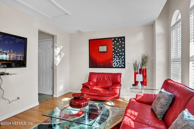 living room with hardwood / wood-style floors and a textured ceiling