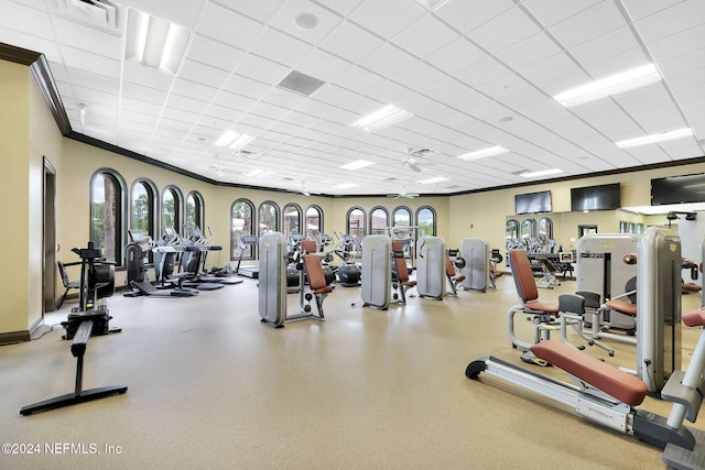 gym with a drop ceiling, crown molding, and ceiling fan