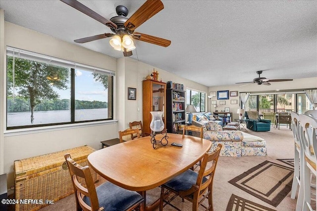 carpeted dining space featuring a healthy amount of sunlight, a textured ceiling, and ceiling fan