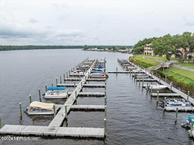 dock area with a water view