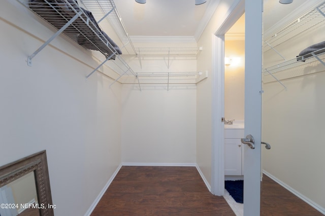 spacious closet with dark hardwood / wood-style flooring