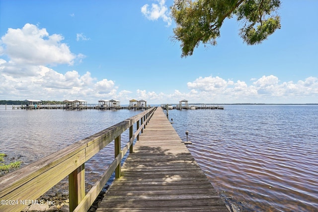 dock area featuring a water view