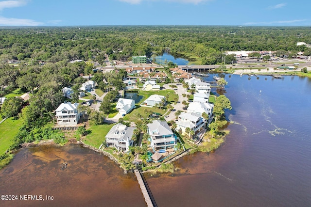 bird's eye view with a water view and a view of trees