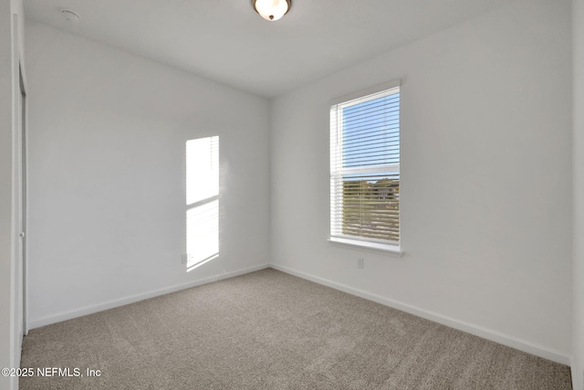 unfurnished room with carpet flooring