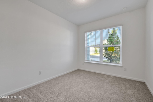 spare room with carpet flooring