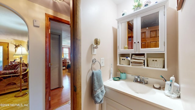 bathroom featuring wood-type flooring and vanity