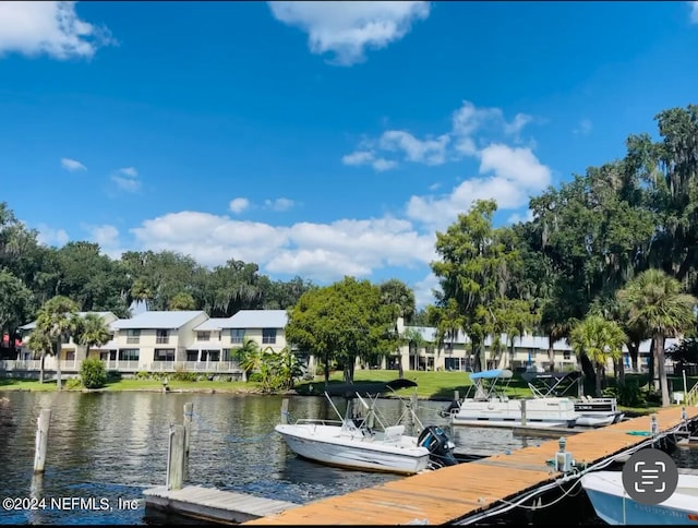 dock area with a water view