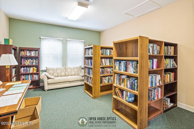 sitting room with dark colored carpet