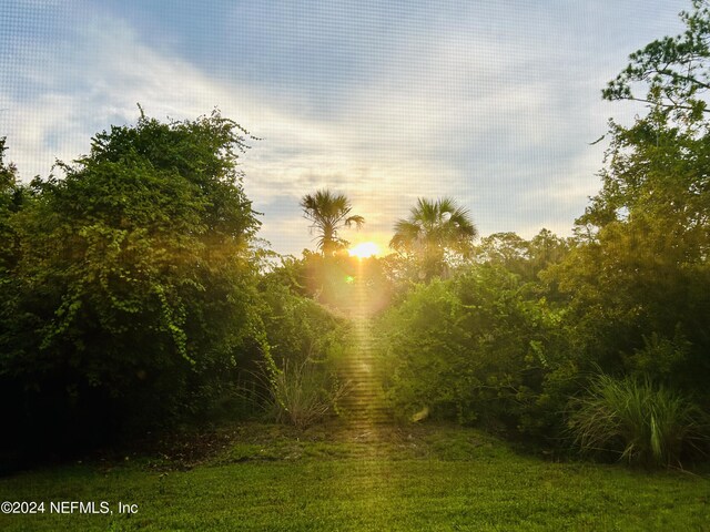 view of nature at dusk