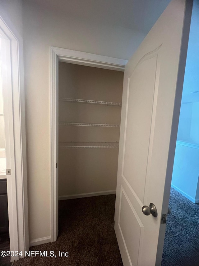 view of closet