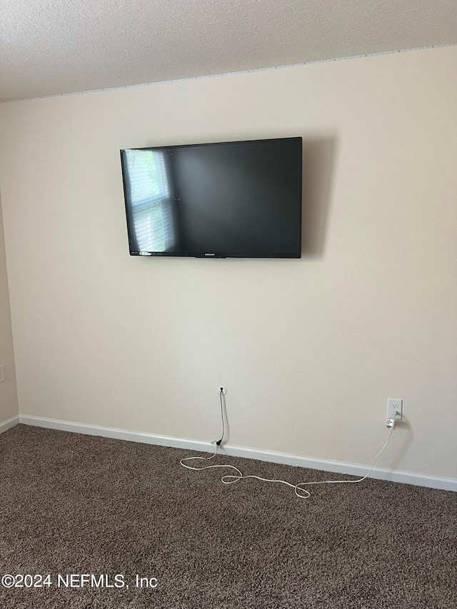 interior details featuring carpet floors, baseboards, and a textured ceiling