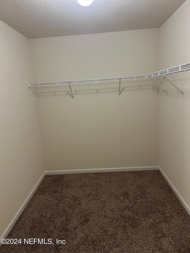 walk in closet with carpet floors