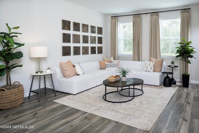 living room featuring dark wood-type flooring