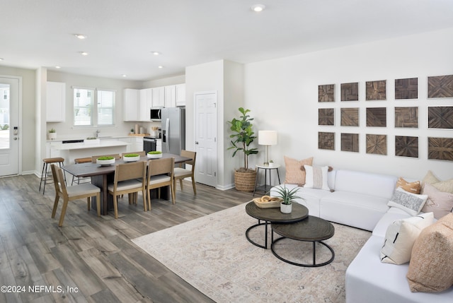 living room with wood-type flooring and sink