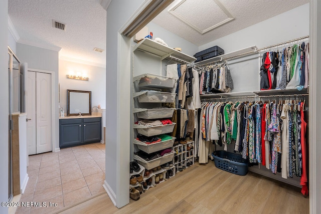 spacious closet featuring sink and light wood-type flooring