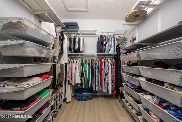 spacious closet featuring light wood-type flooring