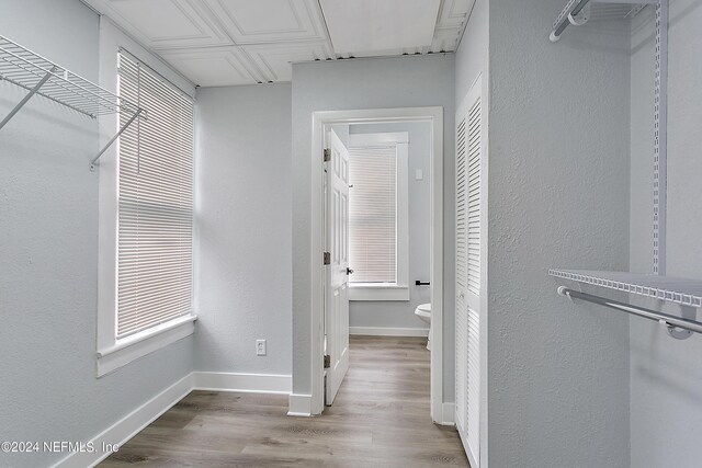 walk in closet with light hardwood / wood-style flooring