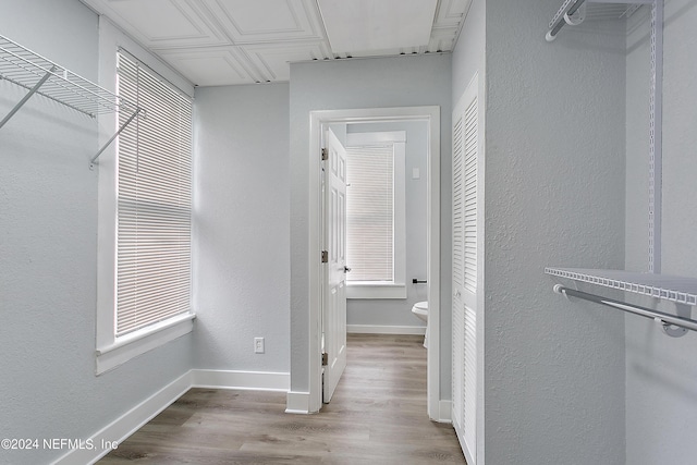 walk in closet with wood finished floors