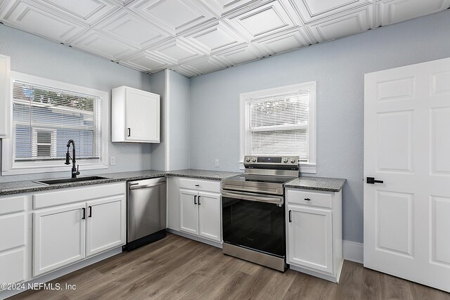 kitchen featuring appliances with stainless steel finishes, white cabinetry, wood-type flooring, and a wealth of natural light