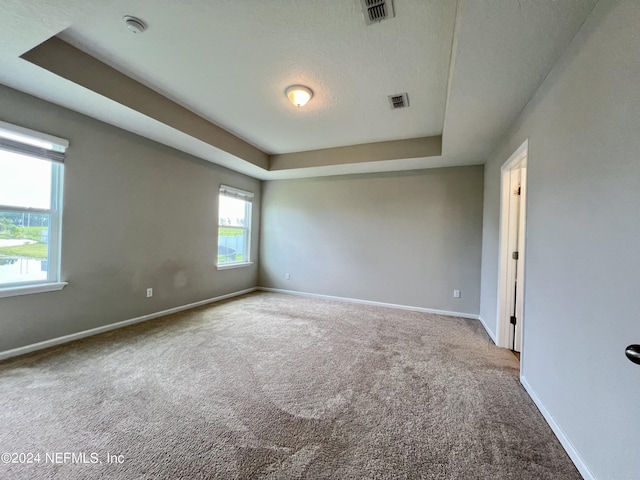 carpeted empty room with a raised ceiling